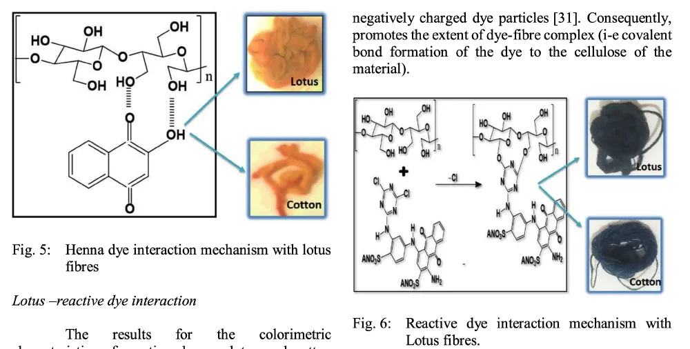 Lotus fiber research