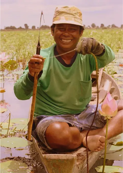 Lotus weaving