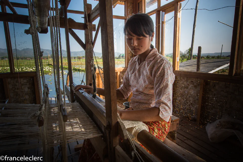 Lotus weaving